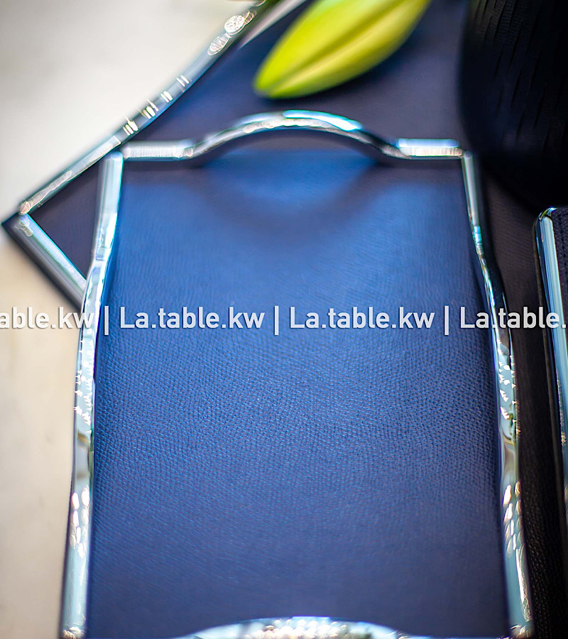 Navy Blue Leather Trays