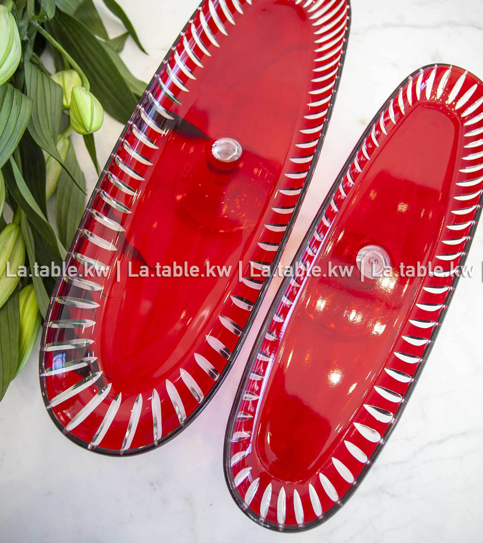 Scarlet Red Classic Long Plate