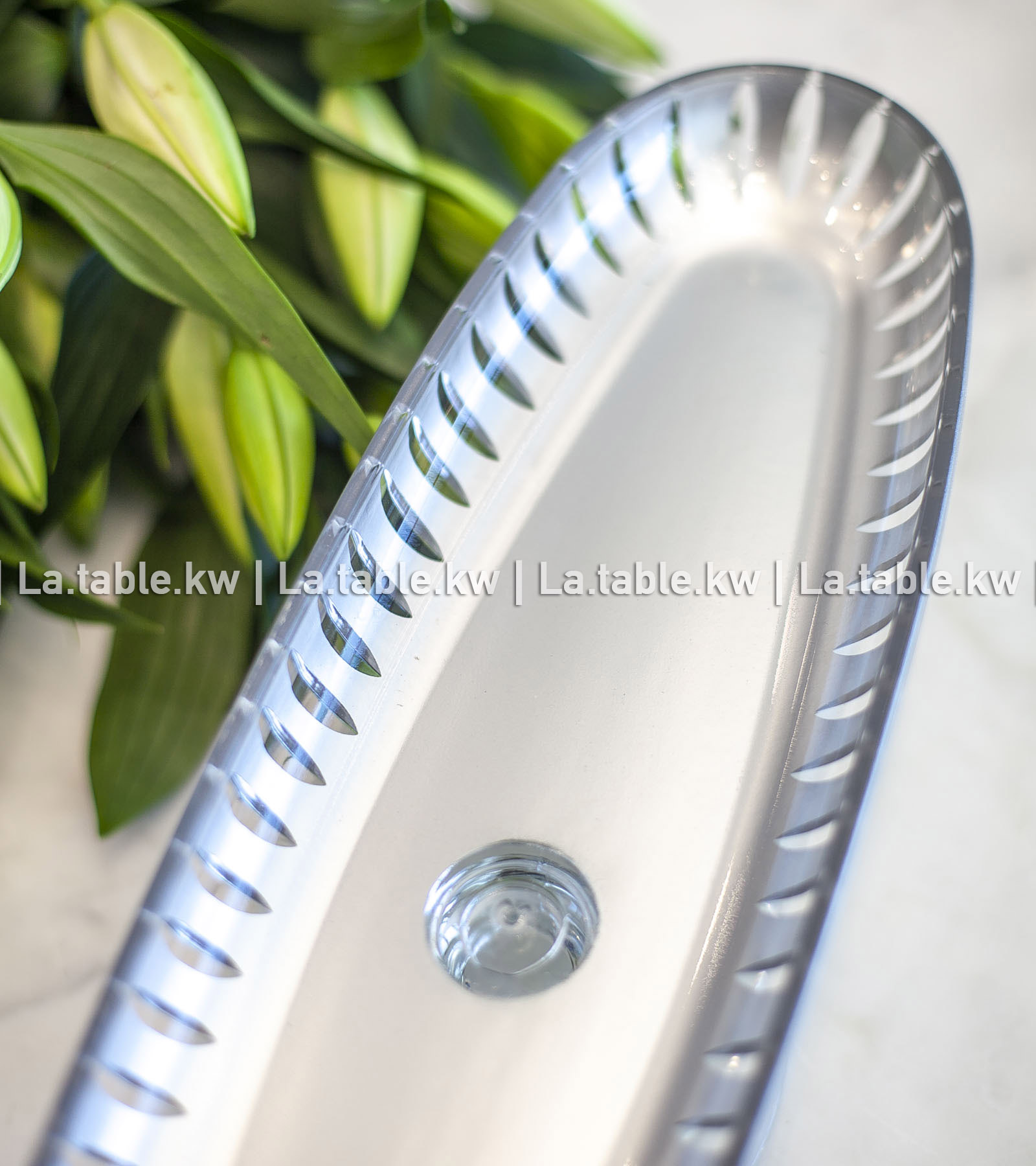 Silver Classic Long Plate