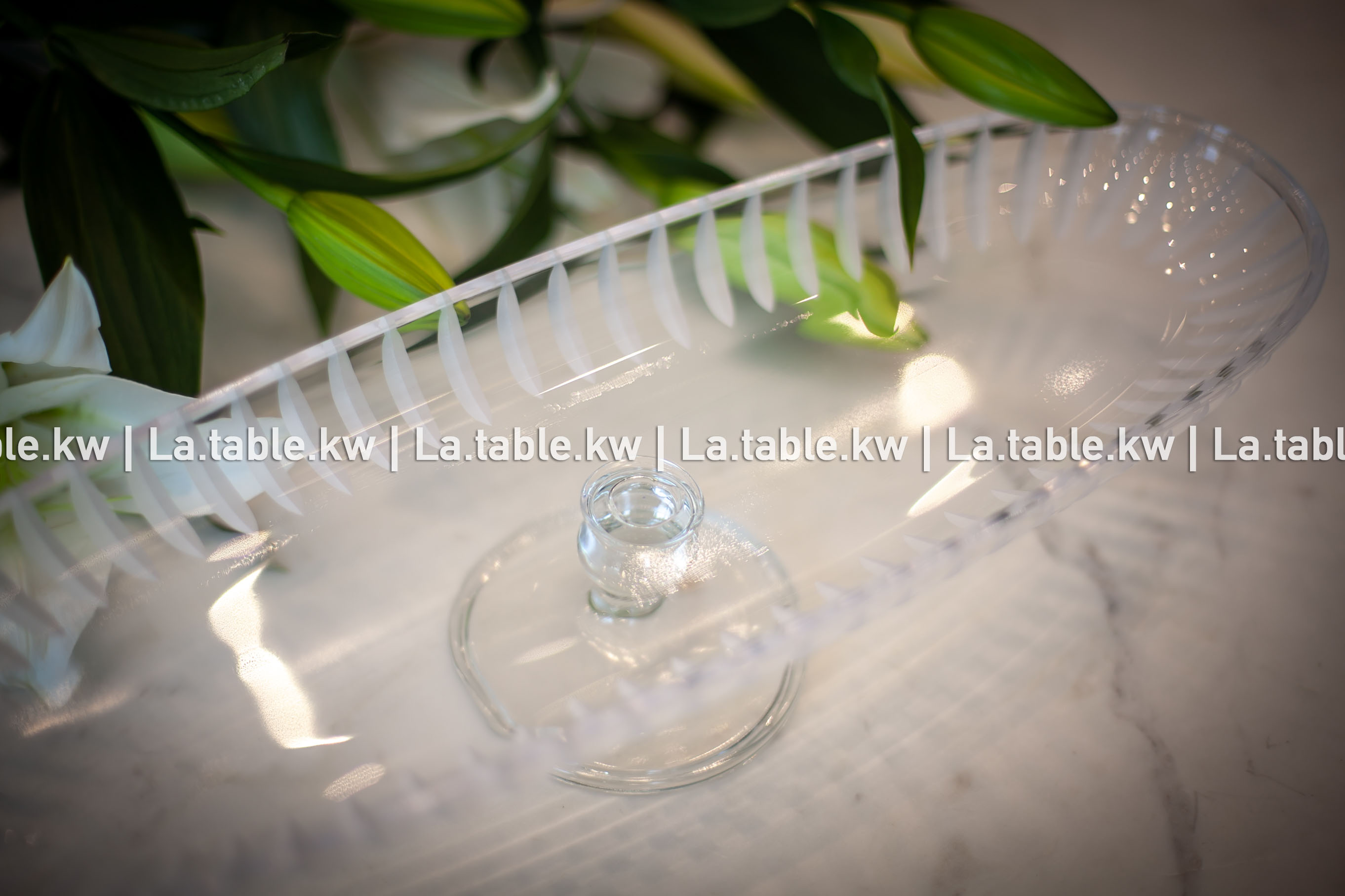 Transparent Lined Classic Long Plate