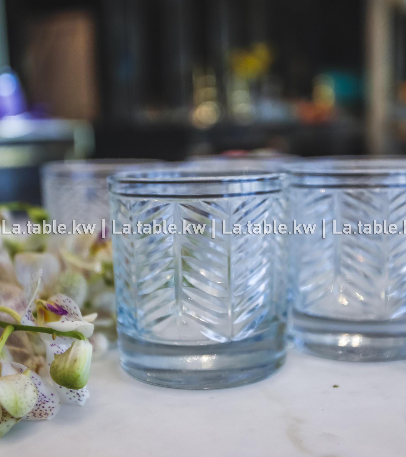Transparent Spider Water Glasses