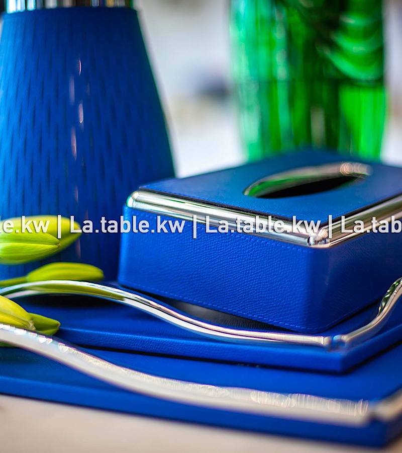 Electric Blue Leather Trays