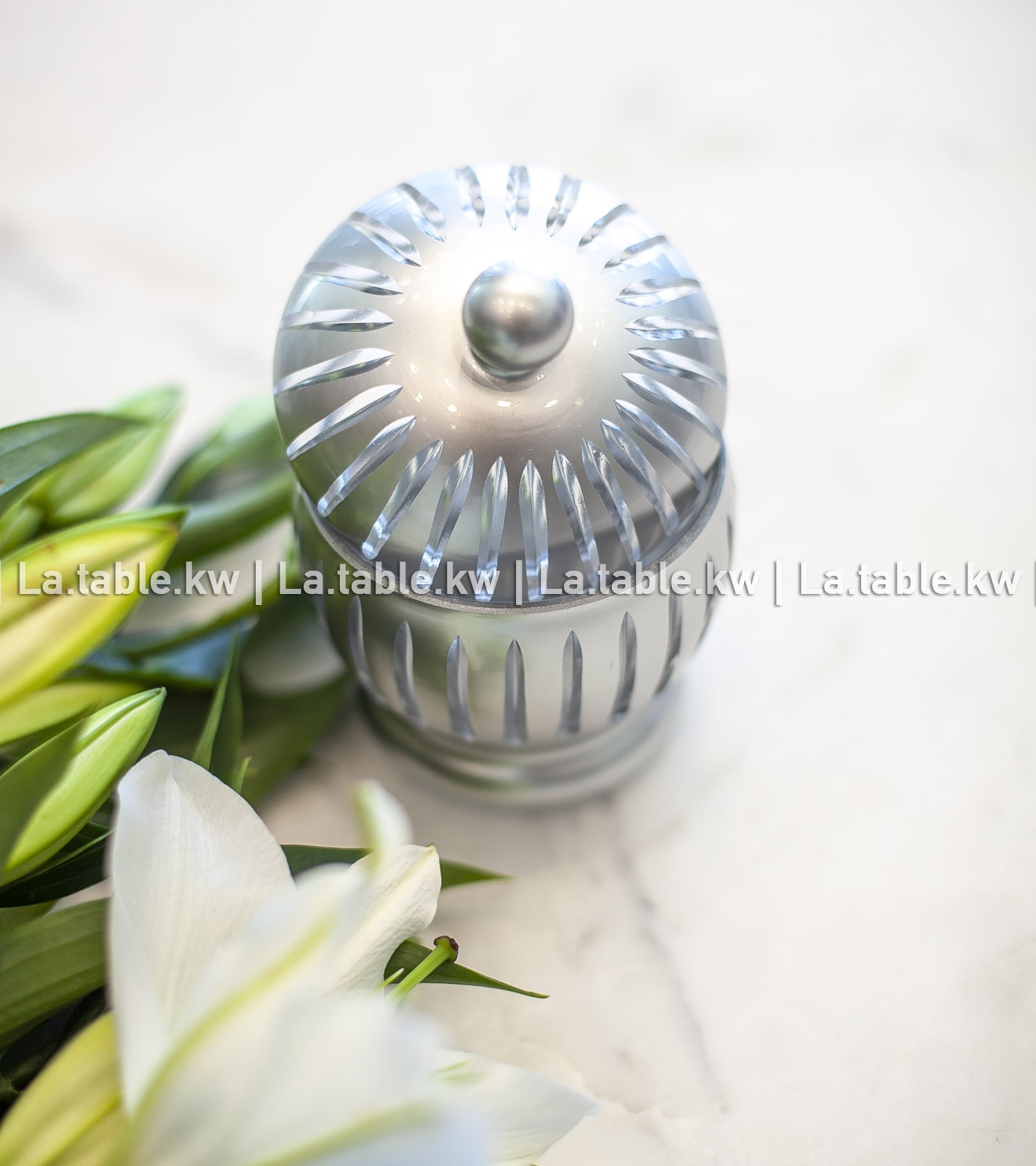 Silver Classic Sugar Jar