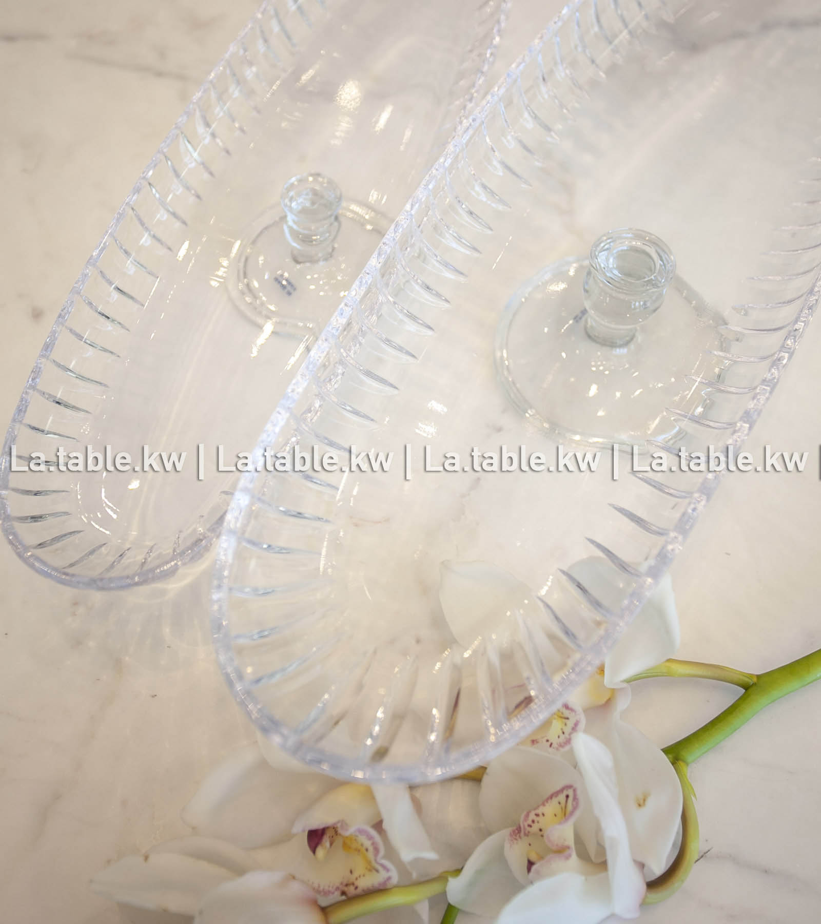 Transparent Classic Long Plate