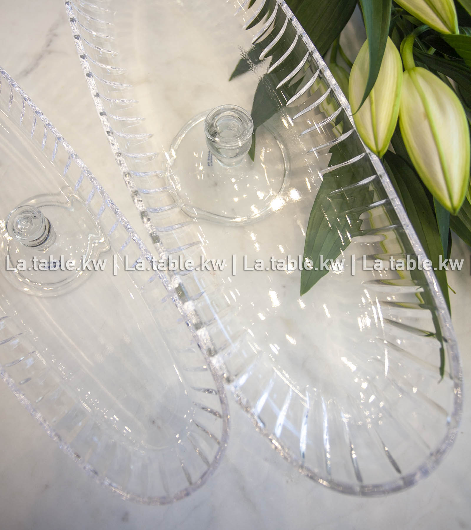 Transparent Classic Long Plate