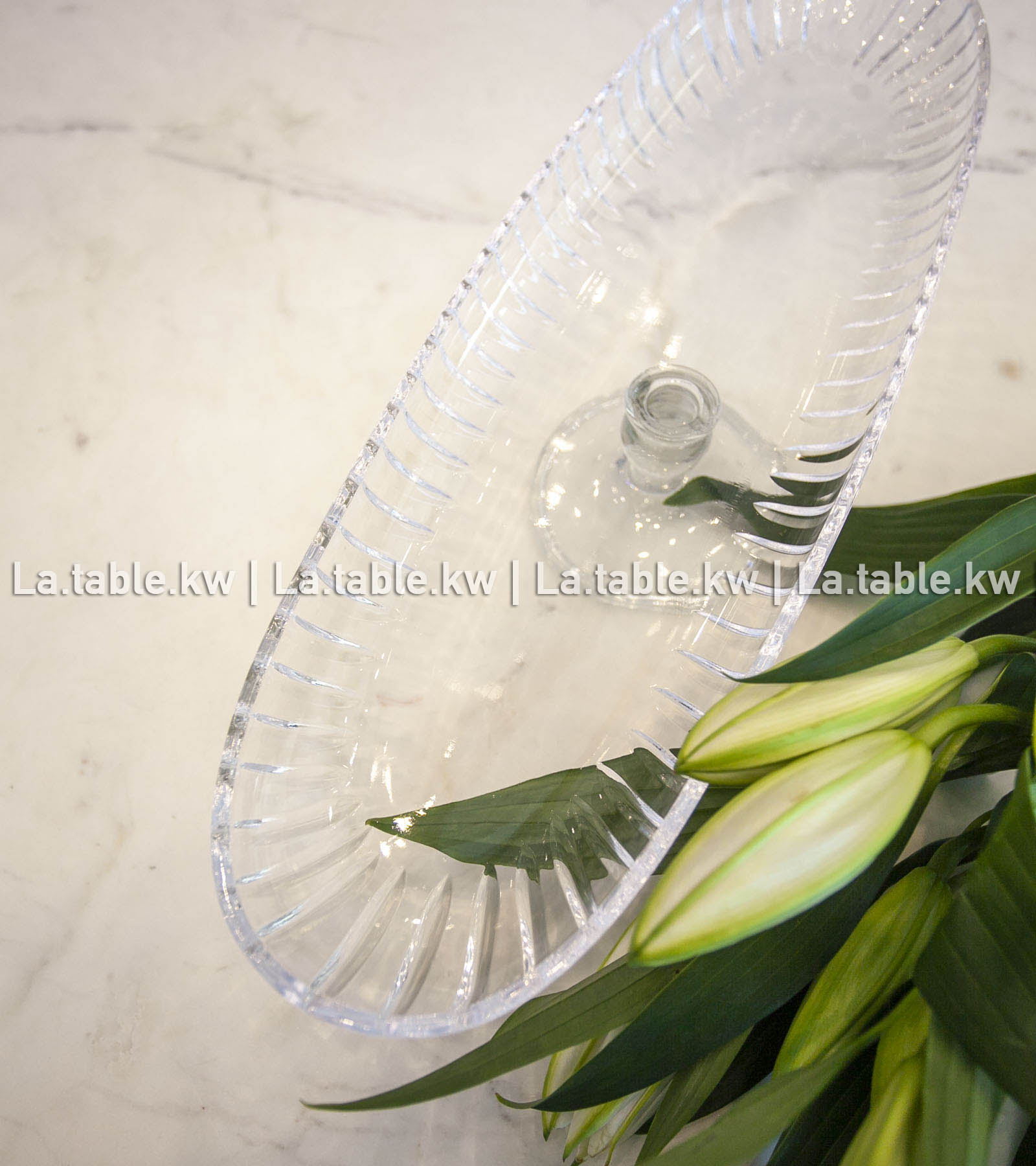 Transparent Classic Long Plate