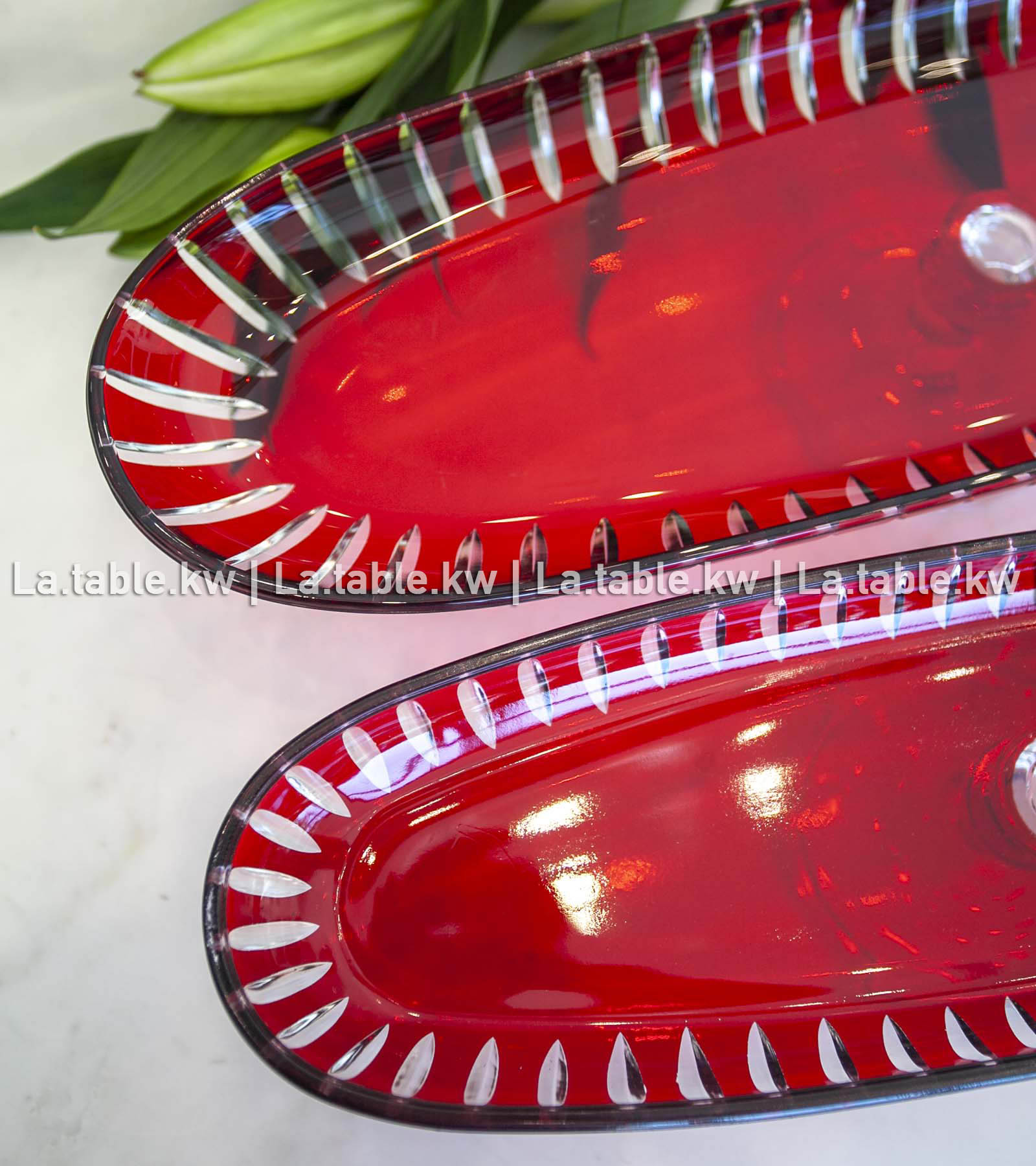 Scarlet Red Classic Long Plate