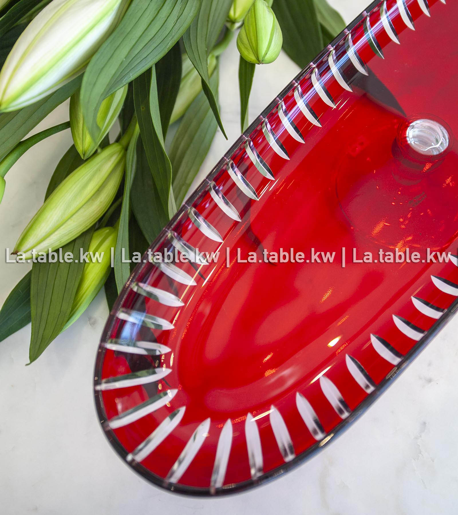 Scarlet Red Classic Long Plate