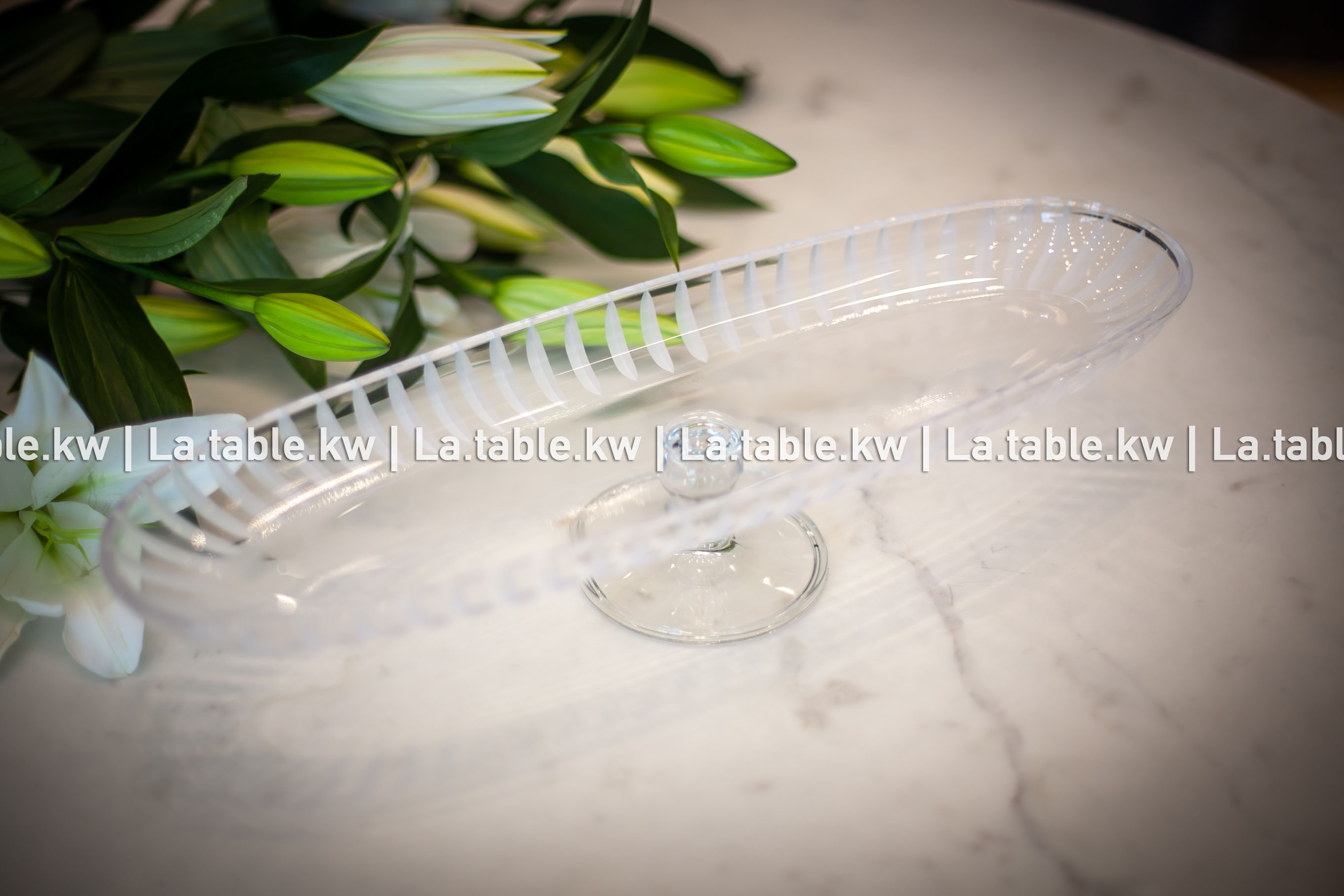 Transparent Lined Classic Long Plate