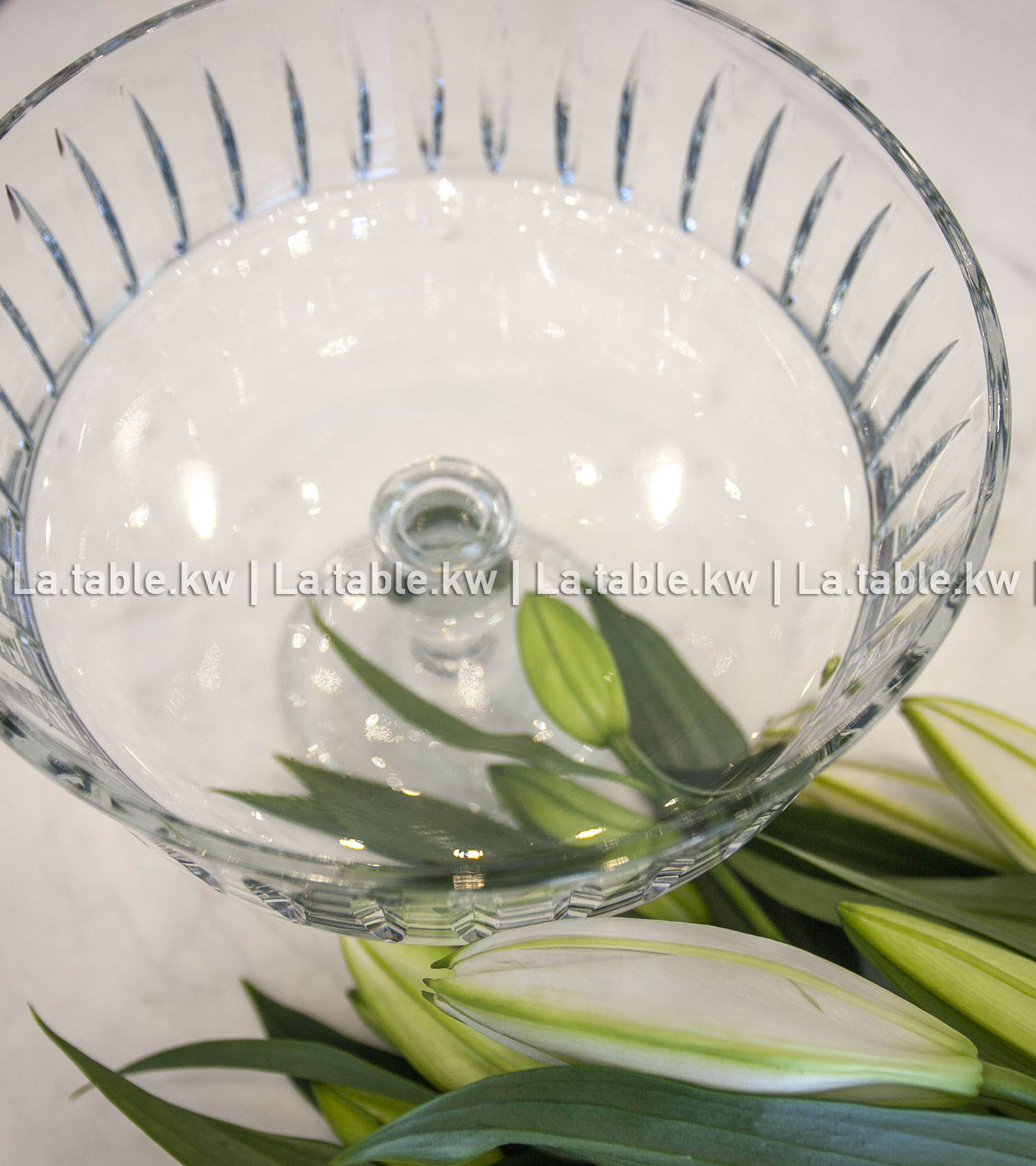 Transparent Classic Bowl