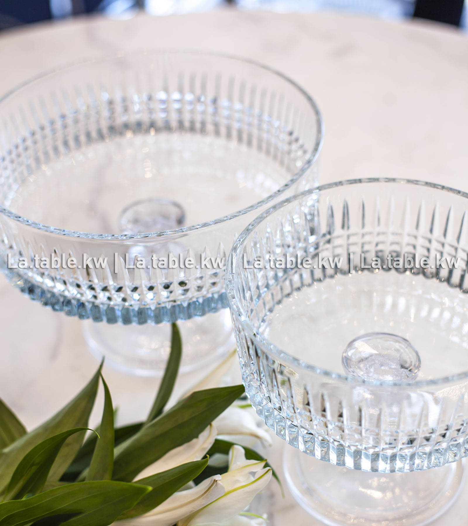 Transparent Allure Bowls / آلور وعاء - شفاف