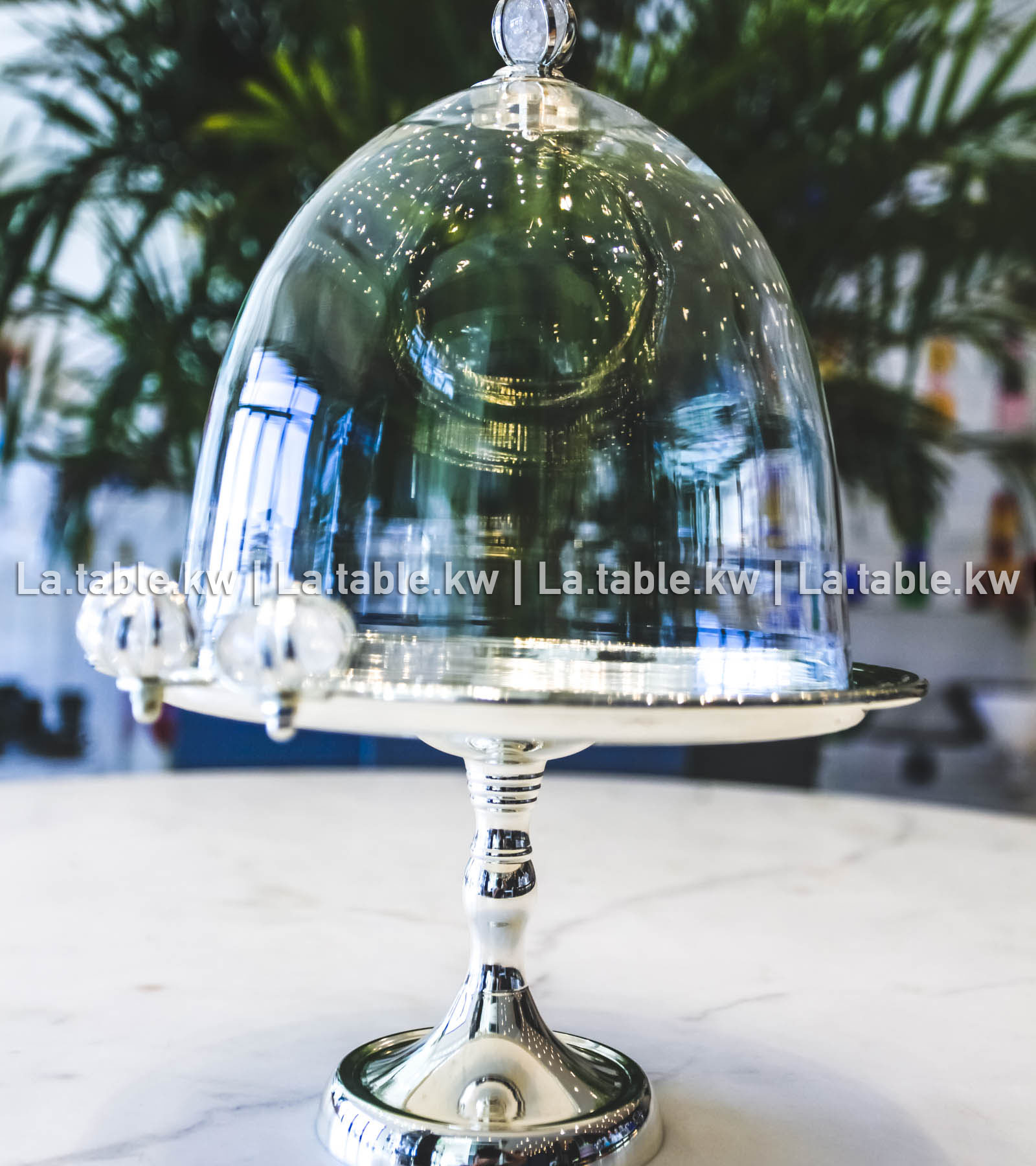 White Stone Designed Chrome Mini Cake Dome